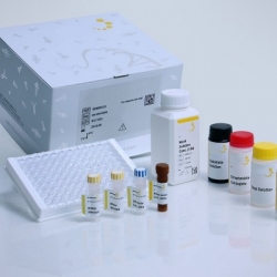HISTAMINE CARD Kit per l'analisi semi-quantitativa cf.1 pz.